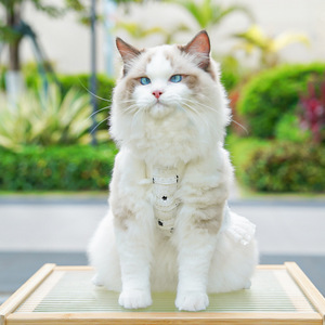 Rompi renda YANG INDAH UNTUK pakaian luar elegan hewan peliharaan Musim Semi/musim panas untuk persediaan pakaian hewan peliharaan anjing dan kucing - Product Image 6