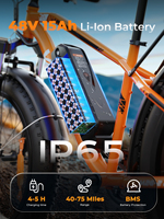 Vélo électrique tout-terrain à pneus larges de 26 pouces, puissance maximale de 1000 W, 48 V, 15 Ah, autonomie de 70 km, poignée d'accélération, Shimano 7 vitesses, IP65, entrepôt UE, livraison en 3 à 7 jours
