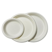 Assiettes en bagasse de canne à sucre fiables, résistantes à l'eau et à l'huile, biodégradables, écologiques, compatibles micro-ondes, pour les fêtes, la restauration et l'usage quotidien
