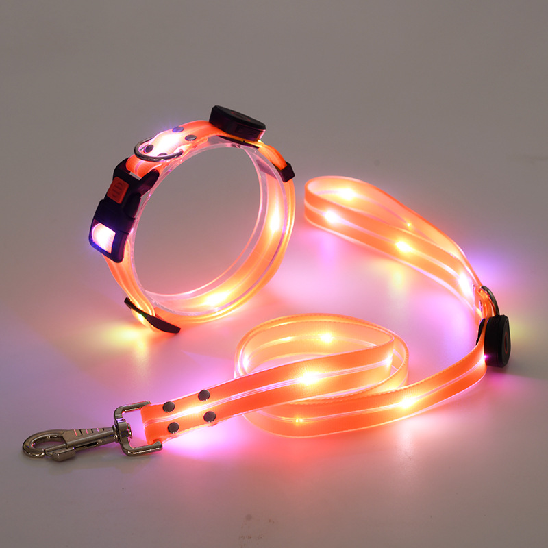 Dog Collar Orange Dog Traction Belt Orange