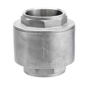 Válvula de Retención Unidireccional de Alto Flujo, Acero Inoxidable, 3 Pulgadas, PN16, Sellado de PTFE, para Sistemas de Agua Comerciales, NPT - Product Image 1