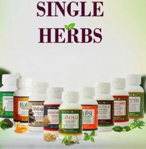 Extrait de Curcuma Pur à Usage Quotidien – Complément Herbal à Base d'Extrait de Curcuma Botanique - Product Image 3