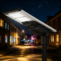 Lampe solaire écologique à haute luminosité avec boîtier en aluminium moulé sous pression pour les projets routiers et les villages ruraux