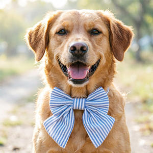 Collier pour <span class=keywords><strong>chien</strong></span> en coton doux et écologique <span class=keywords><strong>à</strong></span> rayures bleues et blanches de Noël, réglable avec boucle auto-agrippante et option personnalisée - Product Image 2