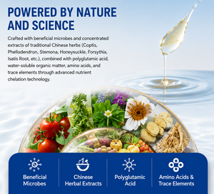 Solution nutritive bactérienne vivante de 2 milliards de bactéries, protéines de poisson, acide polyglutamique, Académie chinoise des sciences agricoles - Product Image 4