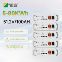 Paquete de Baterías de Litio Lifepo4 de Bajo Voltaje de 5 kWh, 51.2V 100Ah, Batería de Almacenamiento de Energía Apilable para Sistemas de Almacenamiento