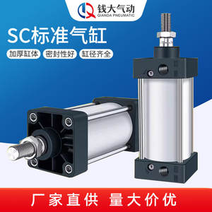 Filtre pneumatique compact standard SC63 à 32 cylindres, haute poussée, en acier inoxydable 40, modèle SC50X25X50x75X100x200x300x500S - Product Image 6