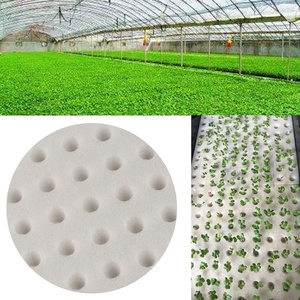 Trắng soilless Rau ươm chậu cây giống nhân bản cổ áo vườn trồng trồng thủy canh miếng bọt biển - Product Image 6