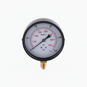 63mm High Pressure Radial Pressure Gauge Black Cast <b>Iron</b> for Industrial Measurement - Product Image 1