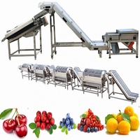 Peer Citroen Vruchten Verwerking Lijn Voor Druif Wasmachine Met Litchi Oranje Sorteren Apparatuur Avocado Drogen Machines