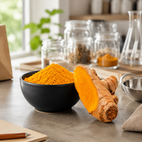 Poudre d'extrait de racine de curcuma sauvage, extrait végétal doré brillant pour l'arôme alimentaire et l'usage quotidien