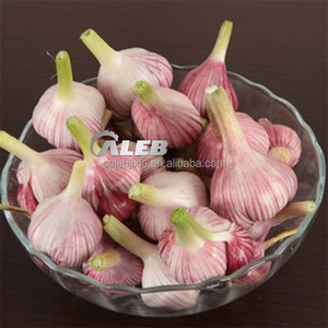 Máy Gặt Khoai Môn Máy Gặt Tỏi Máy Thu Hoạch Tỏi/Máy Thu Hoạch Tỏi Thu Hoạch Hành - Product Image 3