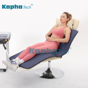 PEMF 장치 PMST 루프 말의 통증 완화를위한 대형 및 나비 루프가있는 펄스 자기장 치료기 - Product Image 5