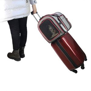 Sac de transport pour animaux de compagnie homologué par les compagnies aériennes, extensible sur 4 côtés, pour chats, chiens et chiots de petite et moyenne taille - Product Image 6