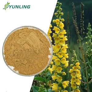 ムリンエキス<span class=keywords><strong>Verbascum</strong></span> <span class=keywords><strong>Thapsus</strong></span>エキス粉末ムリンエキス - Product Image 1