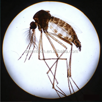 Premium Parasite Prepared Microscope Slides Zoology & Medical Parasitology Slides