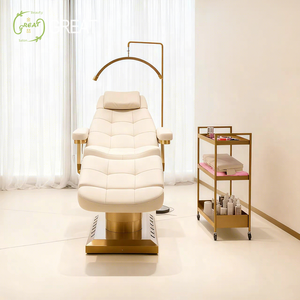 Muebles de Salón de Belleza de Lujo, Cama de Masaje de Spa con Base de Metal y Tapicería de Cuero PU, Adecuada para Salones de Belleza - Product Image 2