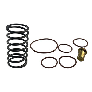 Kit de mantenimiento de la válvula de control de temperatura LiUTECH 2205490592 para reparación de compresores de tornillo, piezas de repuesto - Product Image 4