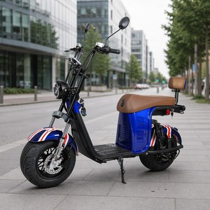 Scooter Eléctrico 2026 con Certificación COC/EEC, Superventas, Suspensión Completa Digital, 60v 20ah, 2000w/1000w, 200kg, 40ah X26, Precio - Product Image 1