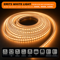 Bande lumineuse LED flexible en silicone LFB1004-4, découpe personnalisée, pliable, étanche IP66, néons pour pergola extérieure, restaurant