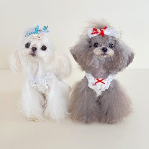 Ropa <span class=keywords><strong>de</strong></span> Verano para Perros, Falda Floral, Vestido con Tirantes <span class=keywords><strong>de</strong></span> Encaje Floral, Ropa para Perros para Primavera y Verano - Product Image 5