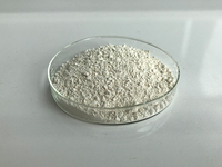 Fabriek 60% Hydroxycitroenzuur Poeder Garcinia Cambogia Extract