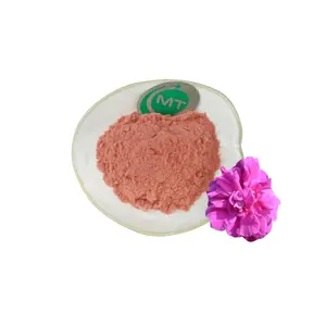 100% natural pó instantâneo de pétalas de rosa orgânico pó instantâneo de flores de rosa