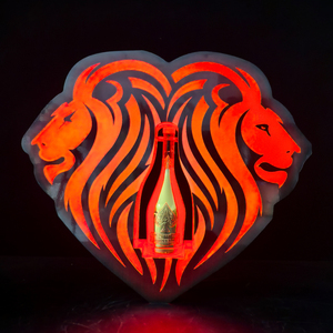 Logotipo personalizado Control recargable Bebidas Tinas LED Botella Demostrador Premium Led Botella Presentador - Product Image 2
