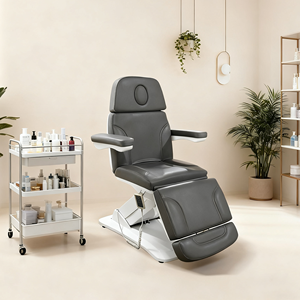 Beleza Cadeira Comercial Grau CE Certificado 250kg Carga Capacidade Silenciosa Longa Vida Motor Profissional Salão Mobília - Product Image 1