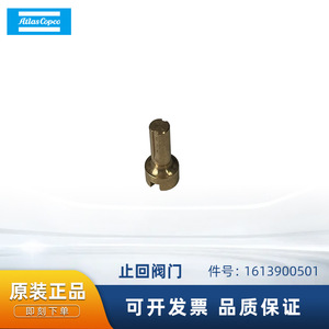 Válvula de Retención Atlas Copco 1613900501 para Compresor de Aire, Accesorio Estándar - Product Image 5