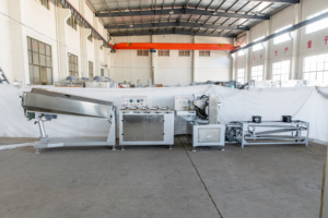 <span class=keywords><strong>Machine</strong></span> de formage de sucettes à haute fiabilité - Faible taux de défauts, efficace pour la production de sucettes remplies/cylindriques/sphériques - Product Image 2