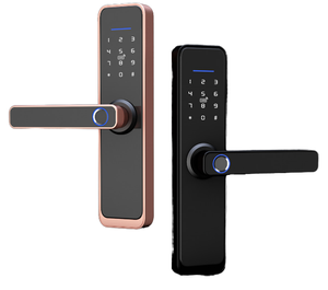 Serratura Intelligente Wi-Fi Tuya con Cloud, Impronta Digitale 3D a Semiconduttore, Biometrica in Lega di Zinco per Porte in Legno, Sicurezza per Casa, Appartamento, Hotel <span class=keywords><strong>X3</strong></span> - Product Image 1