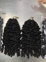 Extensions de cheveux humains 100% non traités, pointes en plumes, 100g pour tressage, extensions de cheveux au crochet, bouclés en vrac, style France