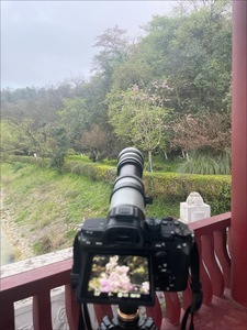 ホワイト420-800mmズーム超望遠マニュアルフォーカスレンズF8.3-f16フルフレーム67mmフィルター（DSLRミラーレスカメラ用） - Product Image 5