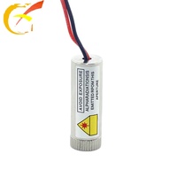 Module Laser Invisible à tête Laser, dispositif Laser à infrarouge 808nm, Option transversale de Point focalisable
