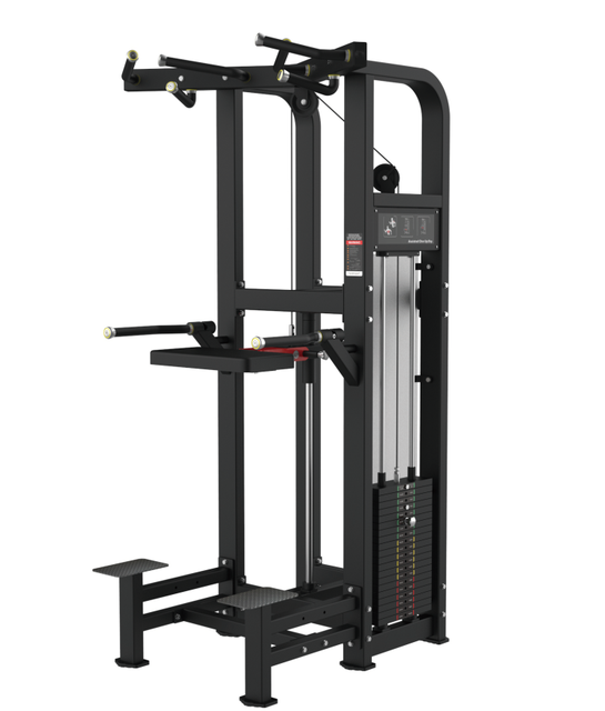 Commercial Pin Loaded Selection Dip/Chin Assisted Station High Quality Chin Pull up Machine
