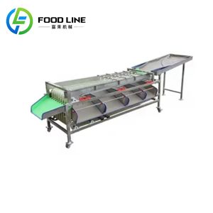Machine de tri, de classement et de dimensionnement des fruits, petite taille, pour dattes, pommes, olives - Product Image 6