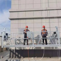 Plataforma Suspendida Modelo ZLP800 con Certificación ISO90, Precio Económico, Puntales de Acero Ajustables para Andamios Industriales de Aleación de Aluminio y Metal