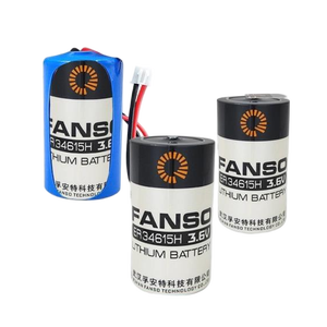 Batería de Litio <span class=keywords><strong>FANSO</strong></span> ER34615H de 3.6V y 19000mAh, Tamaño D, para Control Remoto, Electrodomésticos, Medidores de Flujo, IoT, PLC y Equipos CNC - Product Image 2