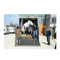 Offre Spéciale pas cher prix chine Fabricant bétail semi remorque remorque à chevaux volaille semi-remorque
