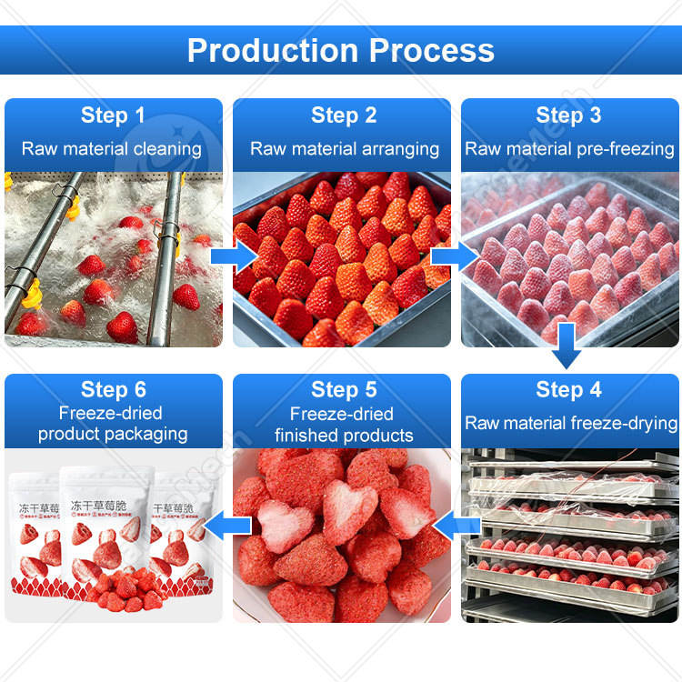 ORME 3000kg Freeze Dried Strawberry Machine Mango Freeze Dryer Freeze ...