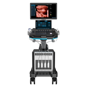 Color Doppler System YF-T50 Upgraded-HD Imaging, Enhanced Functions, Factory <strong>Price</strong> - Product Image 3