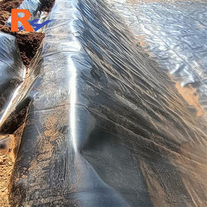 Géomembrane en HDPE lisse pour le stockage temporaire d'eau et la déshydratation des chantiers de construction, géomembrane composite en HDPE - Product Image 4
