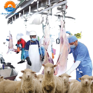 Équipement d'abattage de moutons à haute efficacité, machines de transformation de la viande pour la production de viande de chèvre, ligne de production d'équipements de <span class=keywords><strong>boucherie</strong></span> - Product Image 1