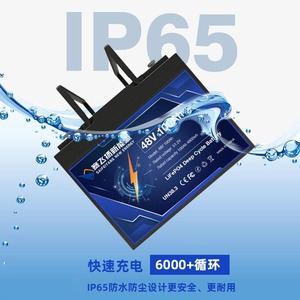แบตเตอรี่ Saifyang New Energy LiFePO4 แบบ Deep Cycle 12V 24V 36V 48V 100Ah สำหรับรถบ้าน เรือ และสถานีฐาน - Product Image 3