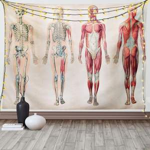 Anatomie humaine tapisserie Vintage graphique du corps avant arrière squelette et système musculaire <span class=keywords><strong>masse</strong></span> osseuse graphique large en Stock - Product Image 1
