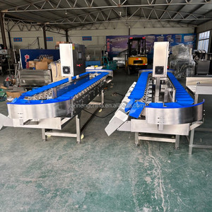 Full Automatic Potatoes Coco Grader Crab Crayfish Sorting Machine Check Weight Sorter Grading Machine With Best Price - Product Image 6