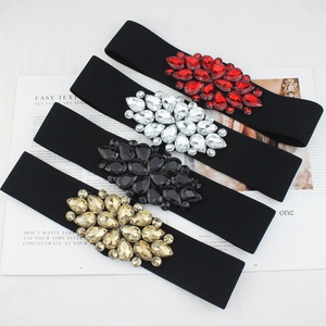 2025 Phong Cách Mới Blingbling Pha Lê Skinny Handmade Kim Cương Đàn Hồi Vành Đai Corset Trang Trí Cho Phụ Nữ Giản Dị Thiết Kế Đầy Màu Sắc - Product Image 2