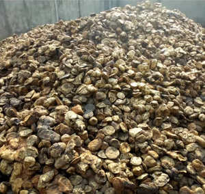 High Quality Vietnam Natural Rubber Raw Material Bale Molding Grade for Automotive & <b>Home</b> <b>Appliance</b> Components - Product Image 1