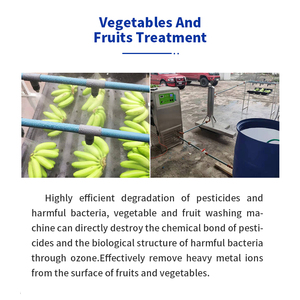 Qlozone procesamiento de frutas vegetales sistema de tratamiento de agua de ozono maquinaria purificador de agua industrial generador de ozono para agua - Product Image 2